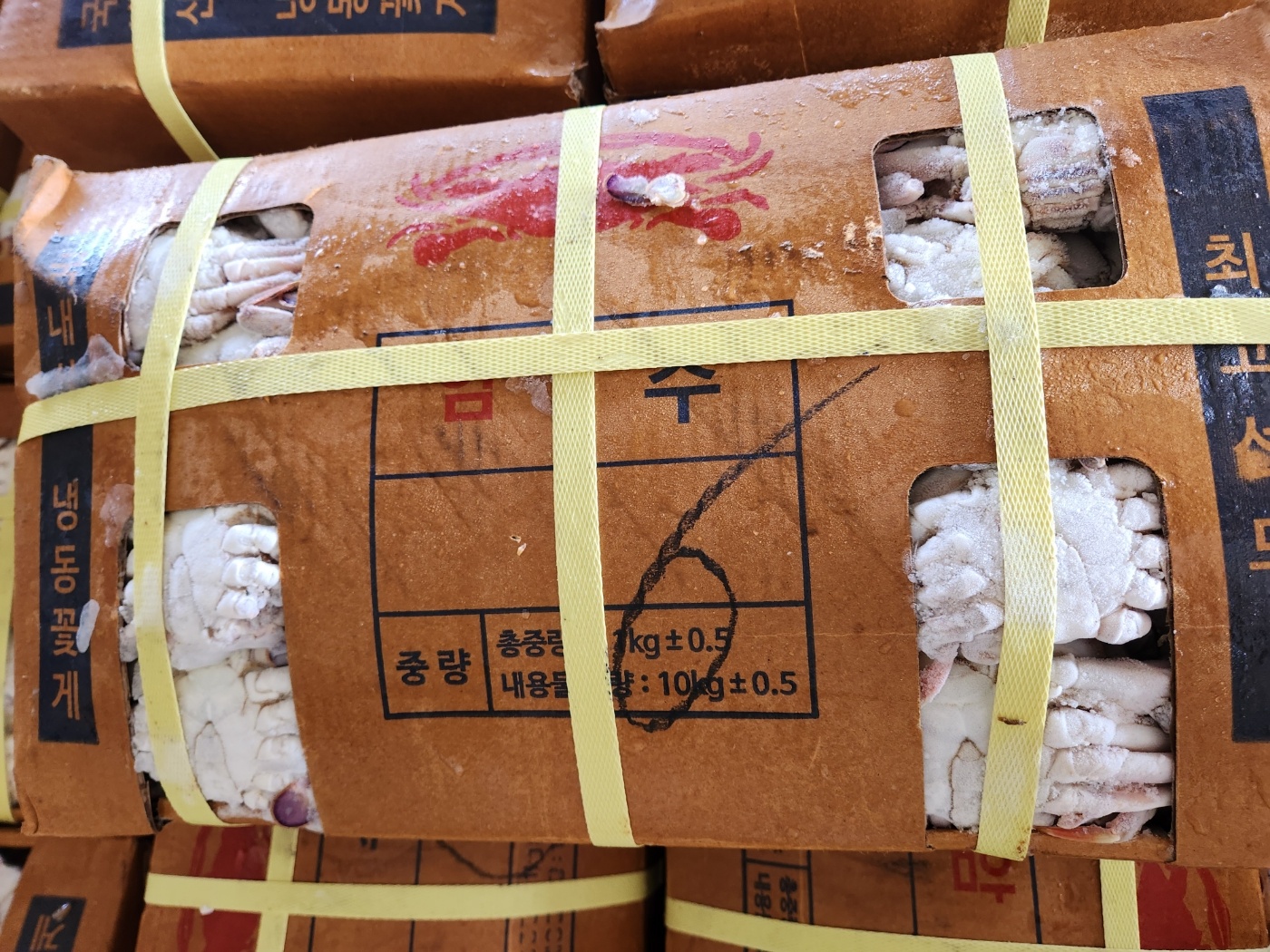 황게 10kg 한 박스에 몇 마리 들어갈까